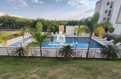 Partamento á venda, 2 quartos residencial platina - bairro jupiá em piracicaba/sp