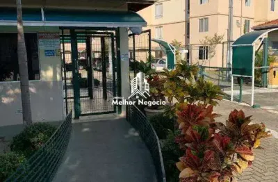 Apartamento à venda com 2 quartos no condomínio rossi ideal horizonte em campinas - sp