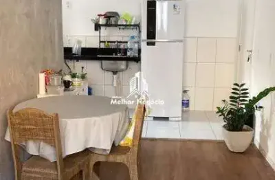 Apartamento à venda com 02 quartos, no condomínio jasmin em paulínia - sp