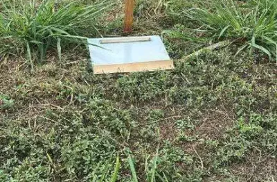 Terreno à venda, residencial colinas do engenho ii - limeira/sp