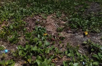 Excelente área para incorporação, frente a praia, pé na areia