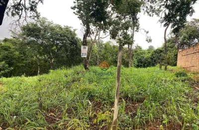 Terreno à venda, 800 m² por R$ 280.000,00 - Shalimar - Lagoa Santa/MG