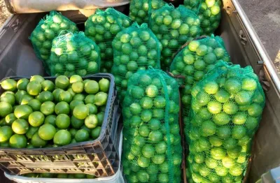 Chácara para venda em acorizal, acorizal, 3 dormitórios, 1 suíte, 1 banheiro