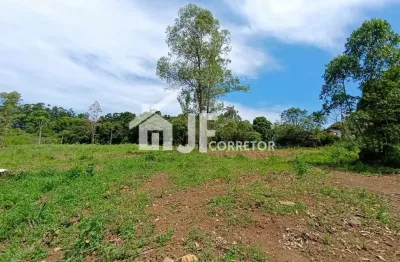 Terreno/sítio de 2.000m² no bairro alpes do vale em novo hamburgo preço de ocasião – aceita financiamento bancário!