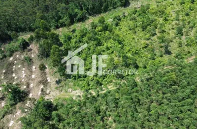 Chácara / sítio à venda no Macaco Branco, Portão 