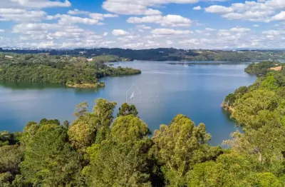 Chácara / sítio com 3 quartos à venda na rua sílvio dallagrana, 1.800, ferraria, campo largo, 31670 m2 por r$ 3.800.000