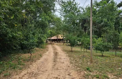 Chácara / sítio com 3 quartos à venda na Zona Rural, Jequitibá 