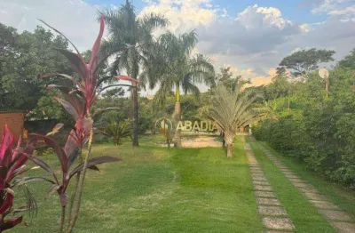 Chácara com 2 dormitórios à venda, 2450 m² por r$ 780.000,00 - chácara monte alegre - sumaré/sp