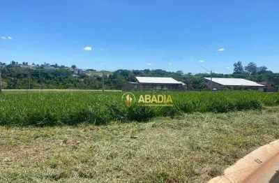 Terreno em condomínio fechado à venda na Rua Iolanda Tiziani Pazetti, 888, Boa Esperança, Paulínia