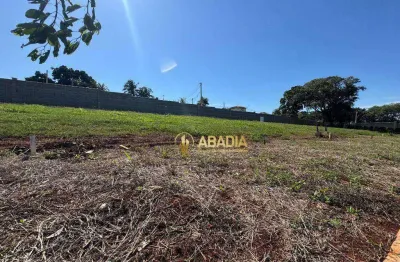 Terreno em condomínio fechado à venda na Avenida Constante Pavan, 1, Betel, Paulínia
