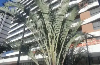 Apartamento com 1 quarto à venda na Avenida Cardeal da Silva, 2249, Rio Vermelho, Salvador