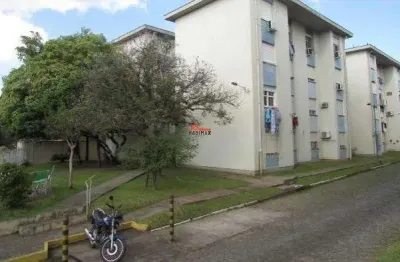 Apartamento para venda  no bairro primor em sapucaia do sul