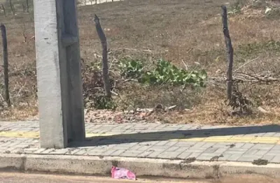 Terreno na praia da taiba, área  (14,00x 40,00), vista mar, asfalto na porta