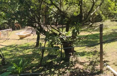 Chácara / sítio com 2 quartos à venda na Avenida Antonio Ignácio Pupo, Jardim Monte Belo, Campinas