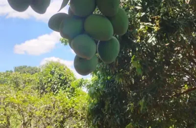 Chácara / sítio com 2 quartos à venda no Loteamento Chácaras Gargantilhas, Campinas 