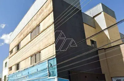 Apartamento para aluguel, 2 quartos, centro - marília/sp