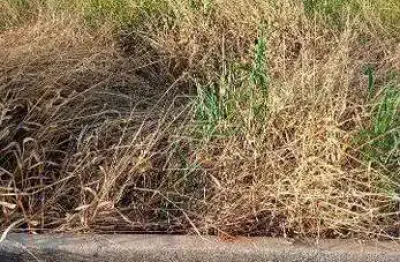 Terreno à venda no Parque das Flores, Marília 