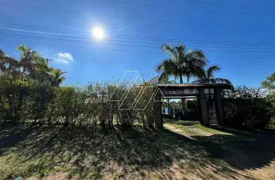 Chácara para aluguel, 3 quartos, 1 suíte, 6 vagas, estância santa bárbara - marília/sp