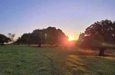 Terreno à venda, 1200 m² por r$ 120.000,00 - vera cruz - vera cruz/sp