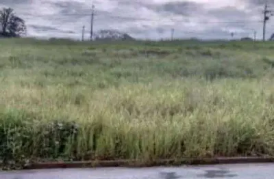 Terreno em condomínio fechado à venda no Residencial Vale Verde, Marília 