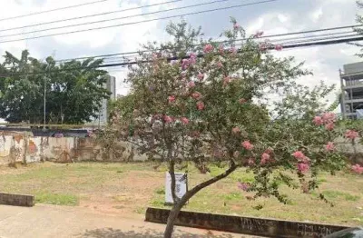 Terreno comercial para alugar no Jardim Marília, Marília 