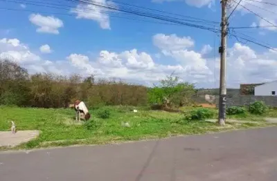 Terreno à venda no Parque dos Ipês, Marília 