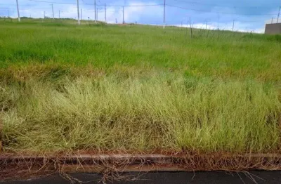 Lote plano, já quitado, pronto para construir - zona norte