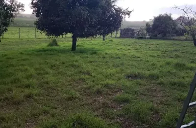 Terreno à venda, 525 m² por r$ 70.000,00 - avencas (avencas) - marília/sp