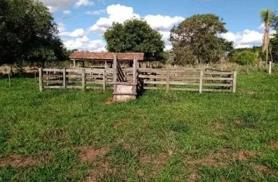 Sítio com 2 dormitórios à venda, 72600 m² por r$ 1.060.000,00 - herculândia - herculândia/sp