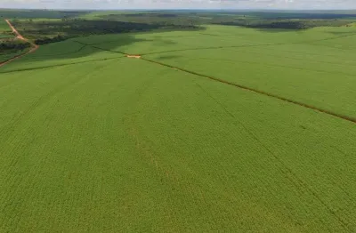Fazenda com 1 dormitório à venda, 6630800 m² por r$ 52.000.000,00 - rural - rancharia/sp