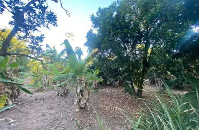 Chácara com 1 dormitório à venda, 2500 m² por r$ 250.000,00 - jardim florença - marília/sp