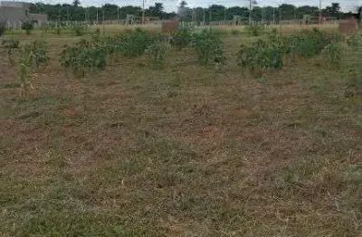 Chácara com 1 dormitório à venda, 2000 m² por r$ 185.000,00 - centro (padre nóbrega) - marília/sp