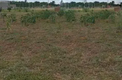 Chácara com 1 dormitório à venda, 2000 m² por r$ 250.000,00 - centro (padre nóbrega) - marília/sp