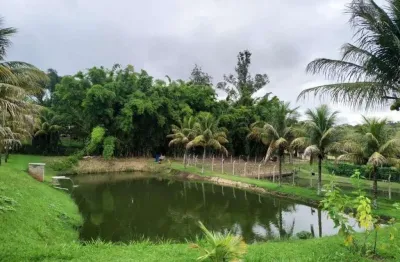 Chácara com 3 dormitórios à venda, 5000 m² por r$ 1.100.000,00 - parque serra dourada - marília/sp