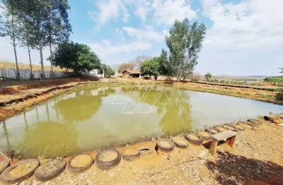 Chácara / sítio com 2 quartos à venda na Área Rural de Marília, Marília 