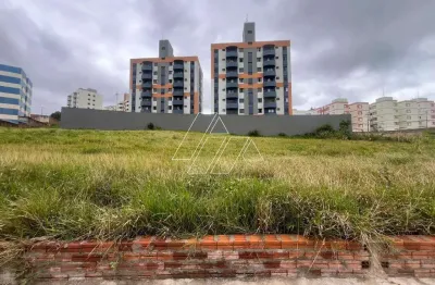 Terreno à venda no Jardim São Gabriel, Marília 