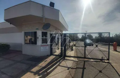 Apartamento com 3 quartos à venda no Altos da Colina, Marília 