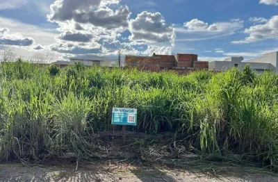 Oportunidade de comprar dois terrenos lado a lado no belvedere