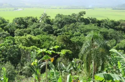 Chácara / sítio com 1 quarto à venda no Sambaqui, Imbituba 