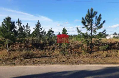 Área à venda, 2100 m² por r$ 840.000,00 - volta redonda - araquari/sc