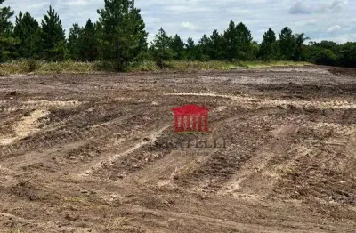 Área à venda, 28507 m² por r$ 7.126.832,50 - colégio agrícola - araquari/sc
