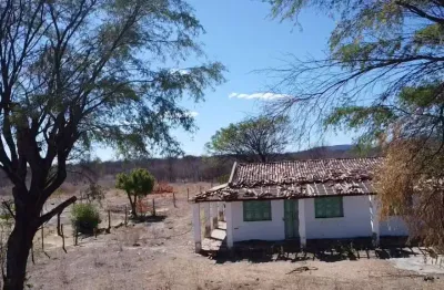 Fazenda com 2 salas à venda na Zona Rural, Barra 