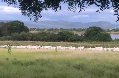 Fazenda à venda na Zona Rural, Muquém de São Francisco 