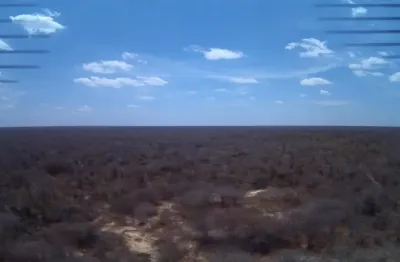 Ótimo investimento para rendimentos em créditos de carbono