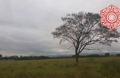 Área à venda, 42478 m² por r$ 4.200.000,00 - ponte nova - lorena/sp