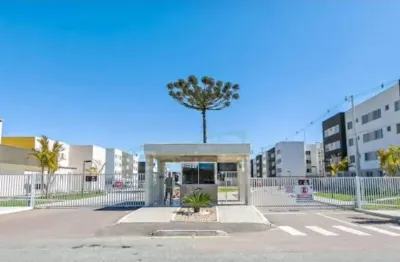 Imperdível! ótimo apartamento no residencial califórina em campo largo