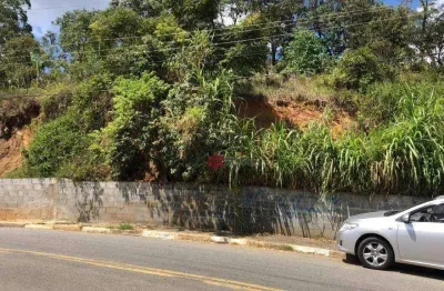 Terreno comercial à venda na Rua Plutão, Chácara do Solar II (Fazendinha), Santana de Parnaíba