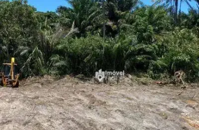 Terreno à venda na Rua Nova Aliança, Monte Gordo, Camaçari