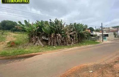 Excelentes terrenos urbanos (4 terrenos) - área vii