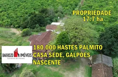 Sítio para venda em cachoeiras de macacu, maraporã, 4 dormitórios, 1 suíte, 2 banheiros, 1 vaga